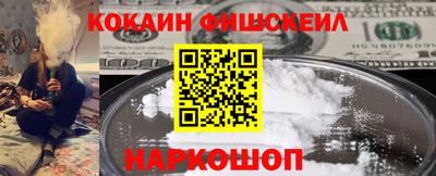 гашик Тулун