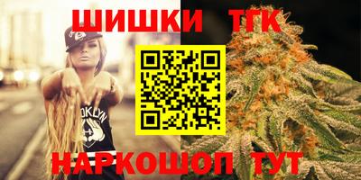 гашик Тулун