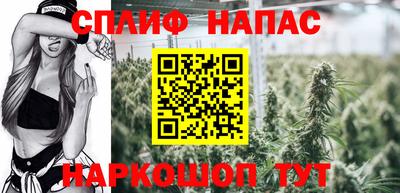 стафф Тула