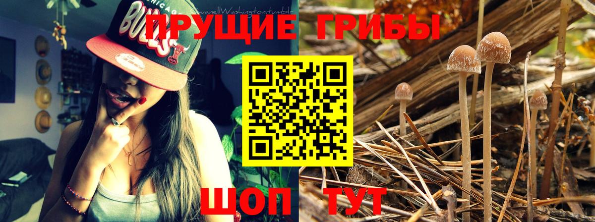 Галлюциногенные грибы ЛСД  где продают наркотики  Мирный  Вход с VPN 